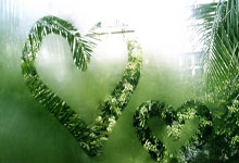 CBA常规赛赛程吃紧，丹佛掘金赛后复出首秀，悬念犹存，细节决定成败的简单介绍开云娱乐